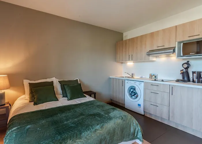 Ovelia Seynod - Les Balcons D'annecy Appartement
